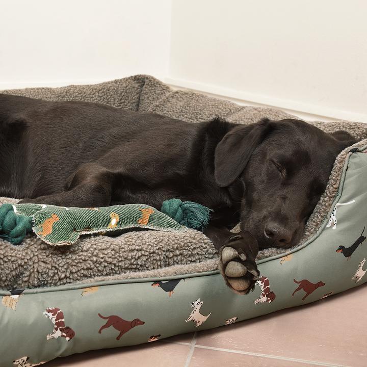 HOW TO FIND THE PERFECT DOG BED
